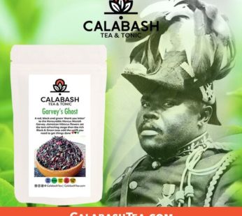 Garvey’s Ghost
