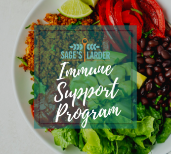 IMMUNE SUPPORT PROGRAM (DIGITAL DOWNLOAD)