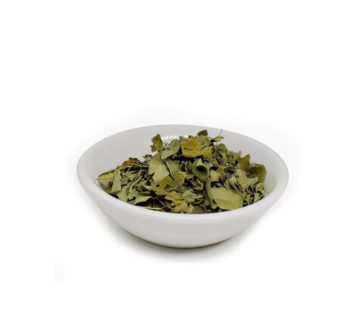 Moringa