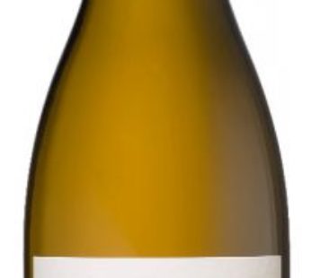 CHARDONNAY Bright Fruit Takes Center Stage