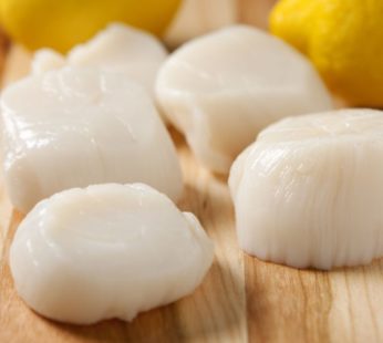 Premium U-10 Scallops (USA Pack) 5 lbs