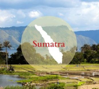 Sumatra